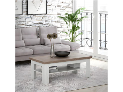 Table basse 120x60 cm 2 plateaux décor chêne clair - Maisonpuretop 01288XKOV